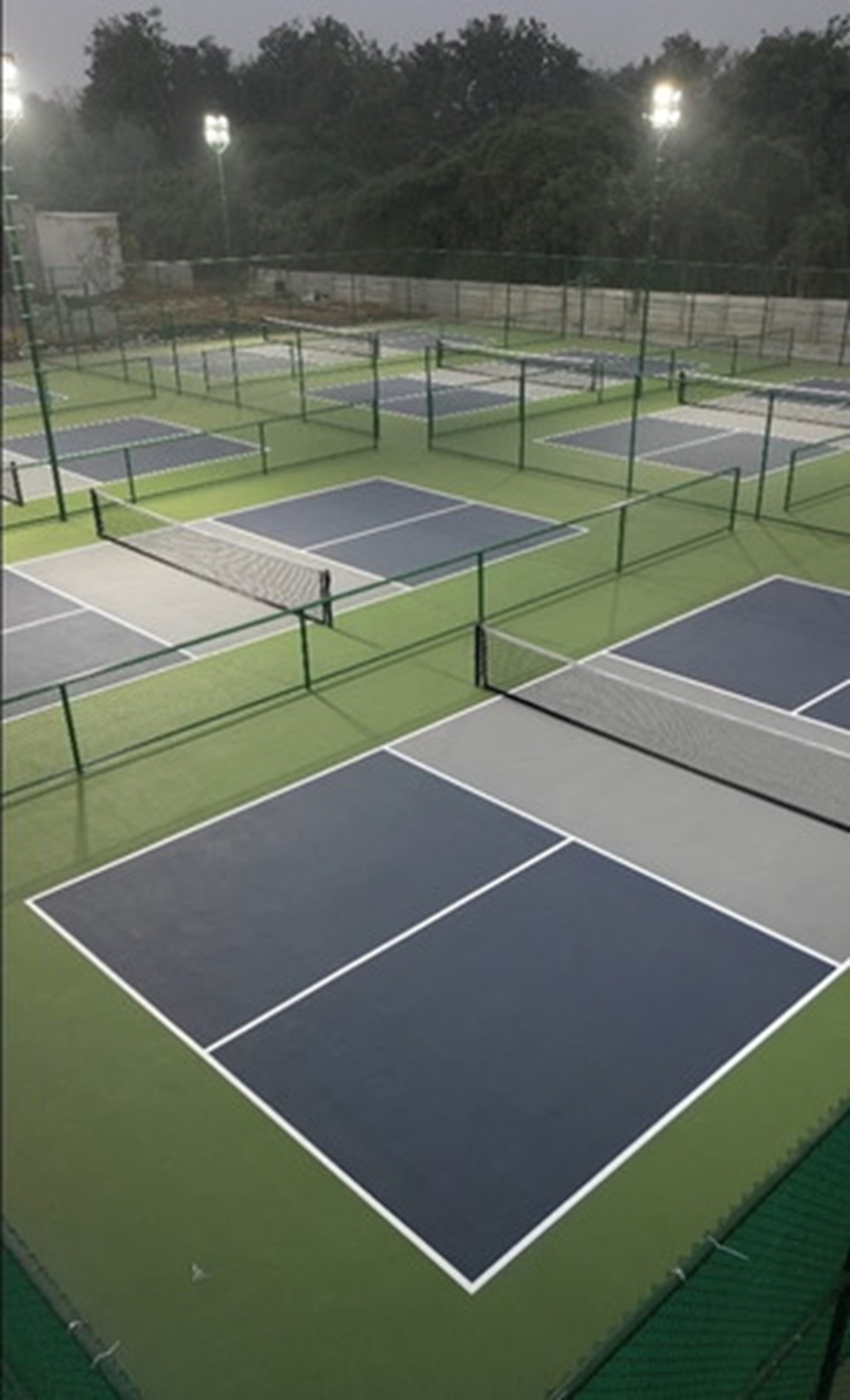 What Is a Pickleball Court